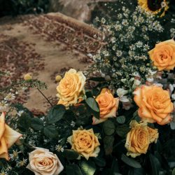 Rendell HortonGammage HenryPaulPhotography BelleLayneTwoBrightLights27 big - New South Wales surprise wedding with a yellow wedding dress and matching manicure! This New South Wales wedding was a whimsical DIYed floral celebration