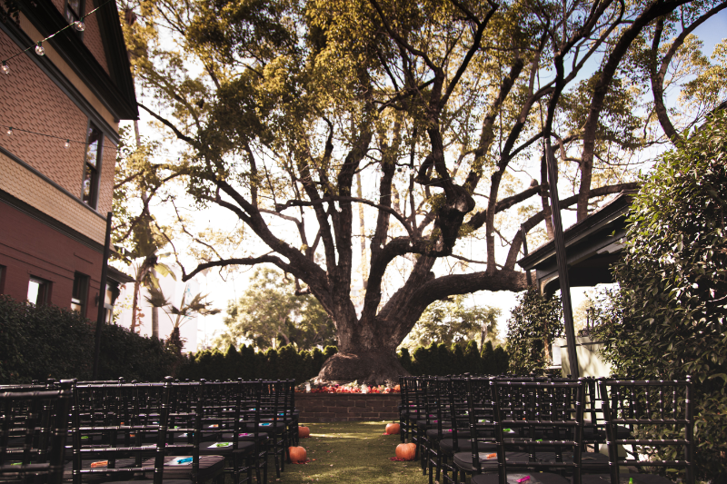 Tim Burton theme wedding on offbeat bride 3