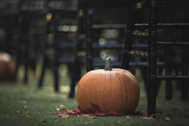 Tim Burton theme wedding on offbeat bride 5