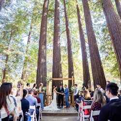 E A Wedding 126 - A chill & rustic California redwoods wedding with pups A chill & rustic California redwoods wedding with pups
