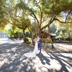 E A Wedding 246 - A chill & rustic California redwoods wedding with pups A chill & rustic California redwoods wedding with pups