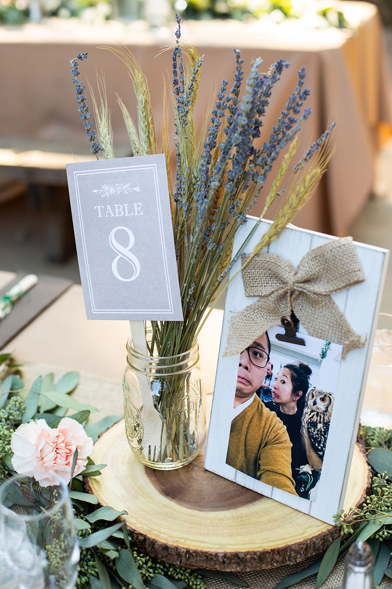 A chill & rustic California redwoods wedding with pups