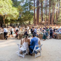 E A Wedding 295 - A chill & rustic California redwoods wedding with pups A chill & rustic California redwoods wedding with pups