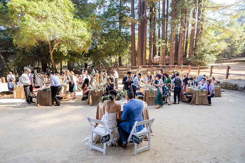 A chill & rustic California redwoods wedding with pups