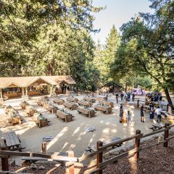 E A Wedding 44 - A chill & rustic California redwoods wedding with pups A chill & rustic California redwoods wedding with pups