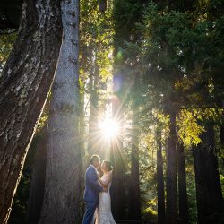 E A Wedding 445 - A chill & rustic California redwoods wedding with pups A chill & rustic California redwoods wedding with pups