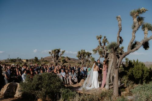 Ceremony DJs