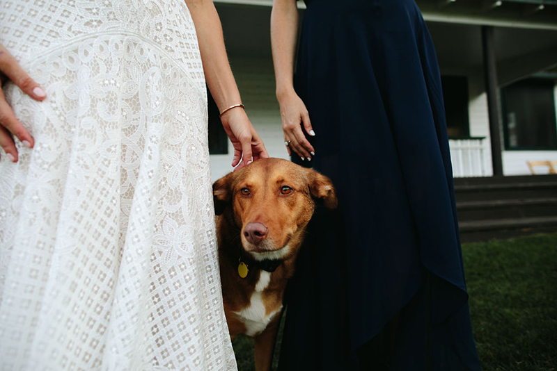 A Maine camp wedding photobombed by the couple's doggo