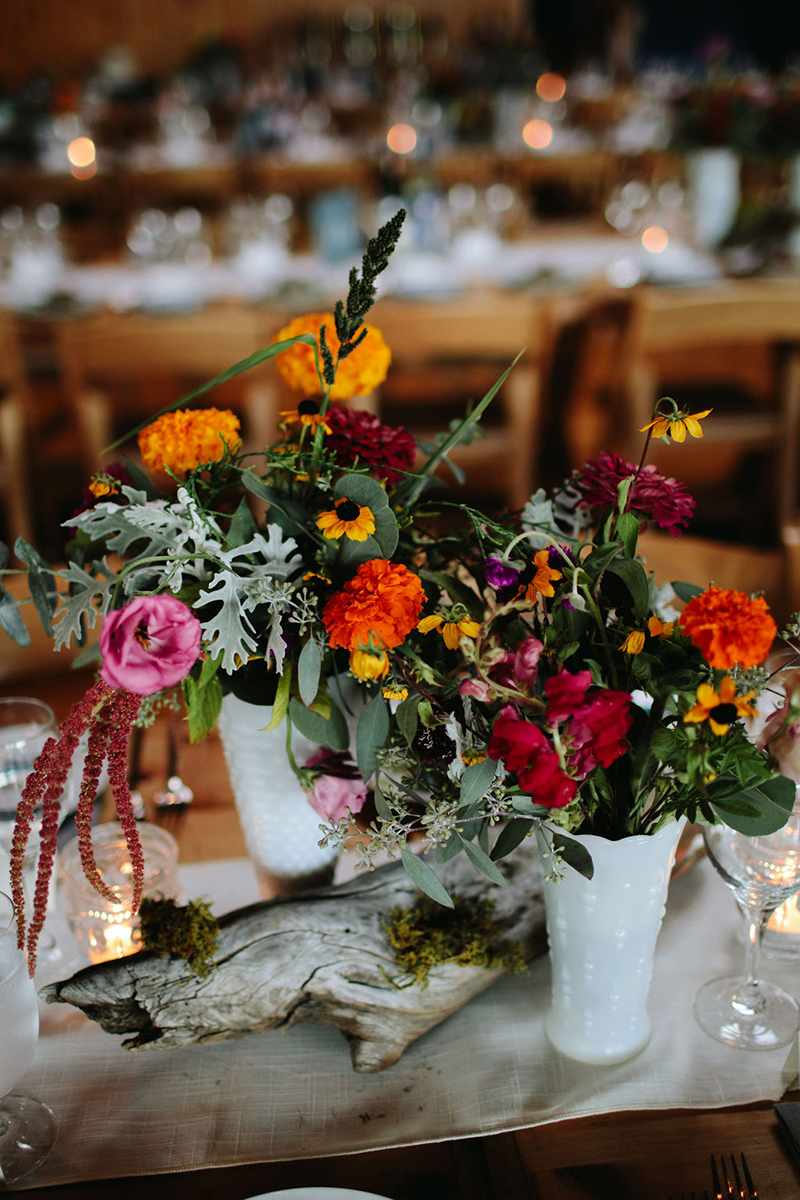 A Maine camp wedding photobombed by the couple's doggo