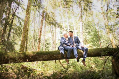 Danielle Barnum Photography