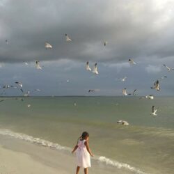 beach micro wedding on offbeat bride 2 - These brides traded their big plans for a barefoot beach micro-wedding beach micro wedding on offbeat bride 2