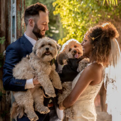 joy is an act of resistance Tigrayan American Wedding on offbeat bride 11 1 - Joy is an Act of Resistance: a Tigrayan-American wedding joy is an act of resistance Tigrayan American Wedding on offbeat bride 11 1