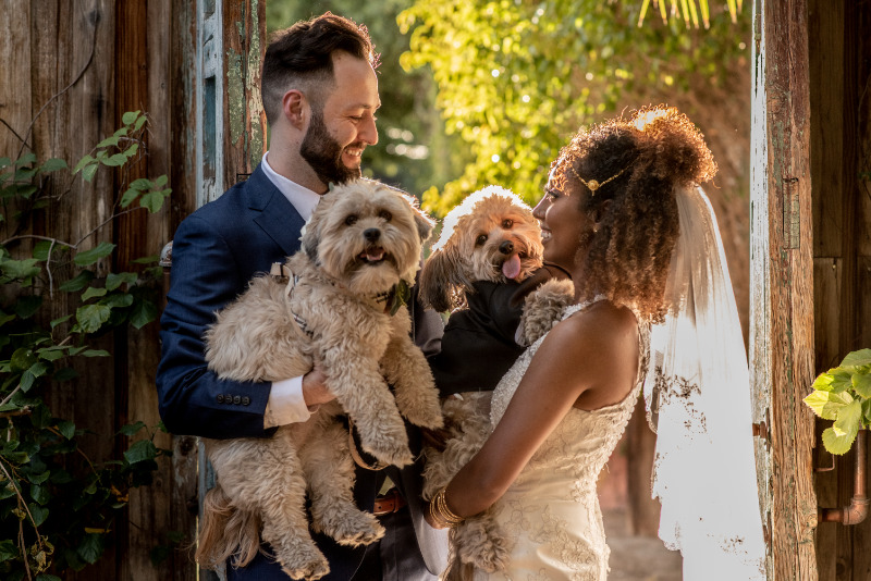 joy is an act of resistance Tigrayan American Wedding on offbeat bride 11 1