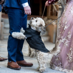 joy is an act of resistance Tigrayan American Wedding on offbeat bride 6 1 - Joy is an Act of Resistance: a Tigrayan-American wedding joy is an act of resistance Tigrayan American Wedding on offbeat bride 6 1