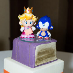 booklovers library wedding on offbeat bride 29 - A booklover's library wedding (with special appearances by Sonic the hedgehog) booklovers library wedding on offbeat bride 29