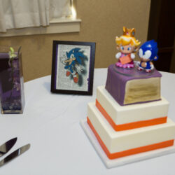 booklovers library wedding on offbeat bride 42 - A booklover's library wedding (with special appearances by Sonic the hedgehog) booklovers library wedding on offbeat bride 42