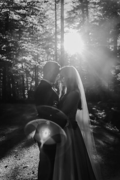 Ari Marie Photography
