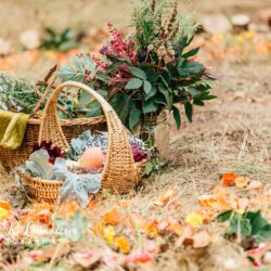 Oregon micro wedding on Offbeat Bride 170 - This Oregon micro-wedding with a $31 dress casts a spell Oregon micro wedding on Offbeat Bride 170