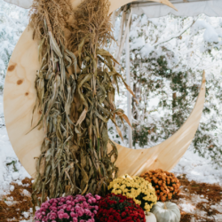 Rustic Fall Halloween Spooky Wedding Photography by Jocelyn Vassos17 - Rustic fall meets spooky in this COVID-safe Halloween wedding Rustic Fall Halloween Spooky Wedding Photography by Jocelyn Vassos17
