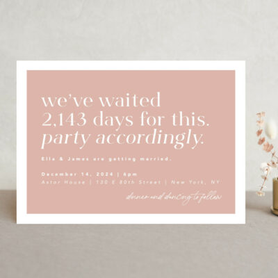 Party Accordingly wedding invitations