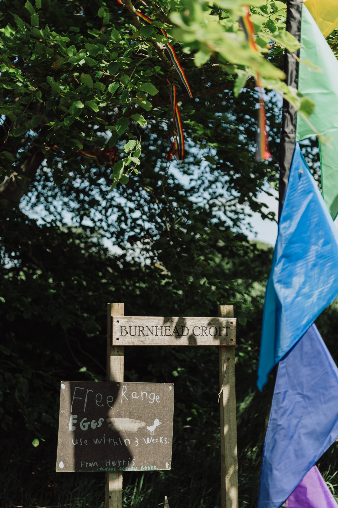 humanist wedding ceremony script on offbeat bride 6