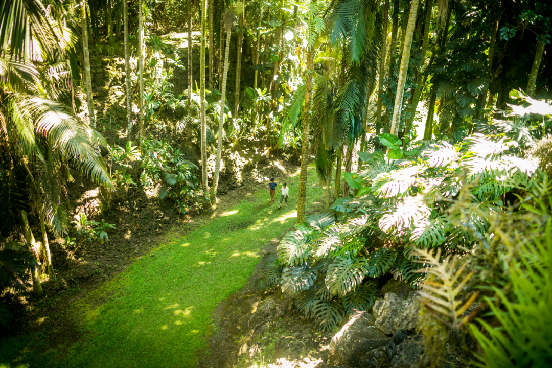 Hawaii adventure engagement photos by Kathryn Cooper Weddings3