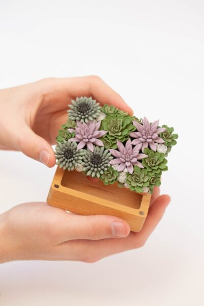 Succulent Ring Bearer Box – Wooden Eco Wedding Ring Holder