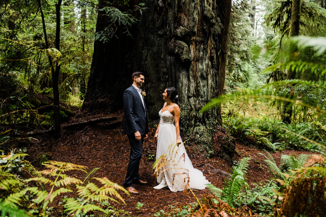 Hannah Matt Redwoods Elopement 12