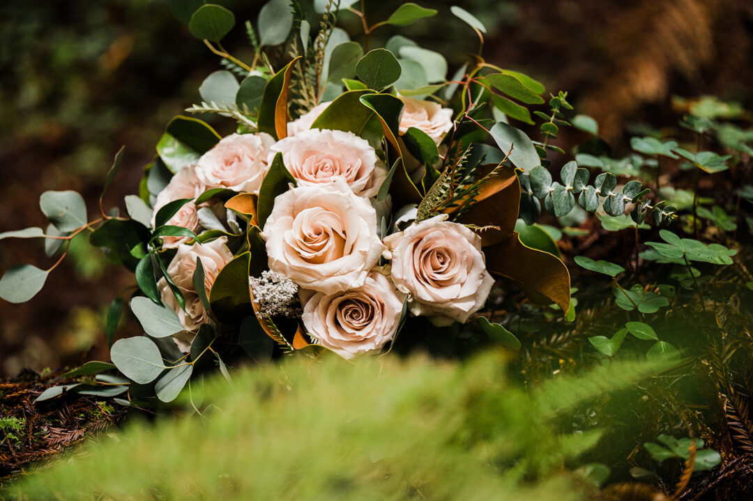 Hannah Matt Redwoods Elopement 13