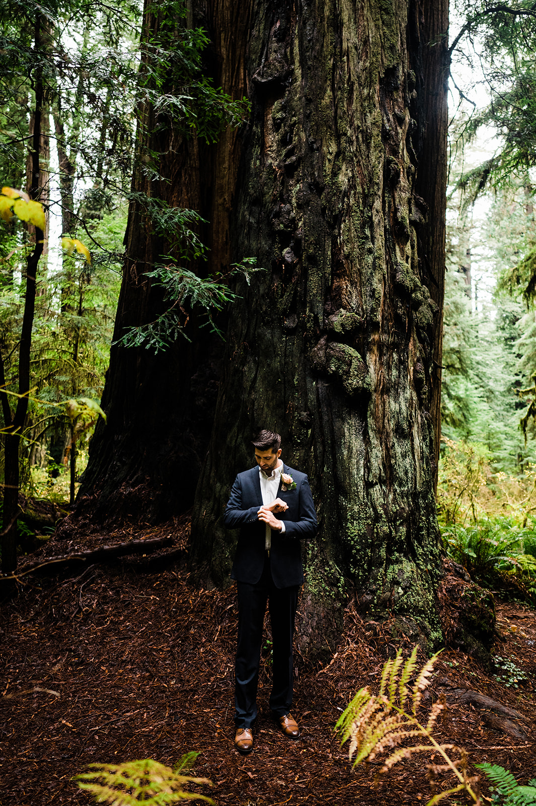 Hannah Matt Redwoods Elopement 7