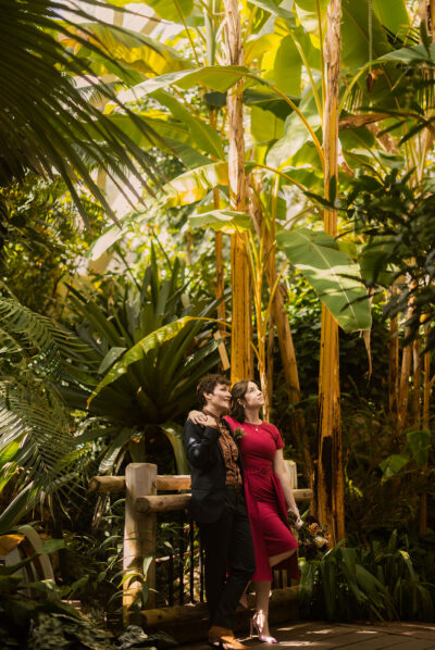 River and Root Photography