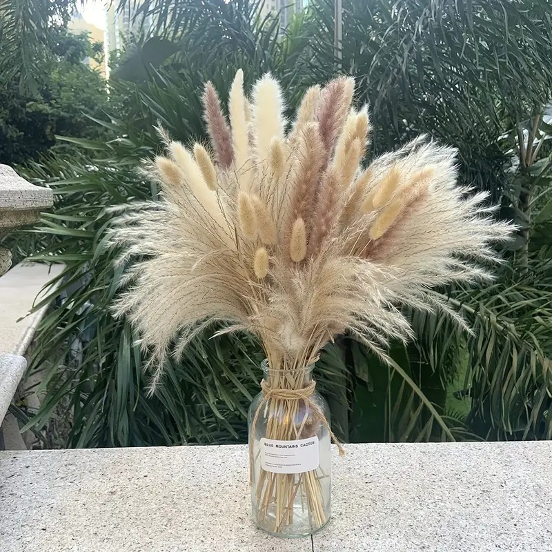 Black Pampas Grass Natural Dried Pampas Grass Fluffy Stem - Temu