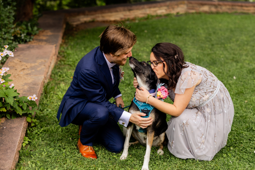 Vintage Star Wars Natalie Ryan 1