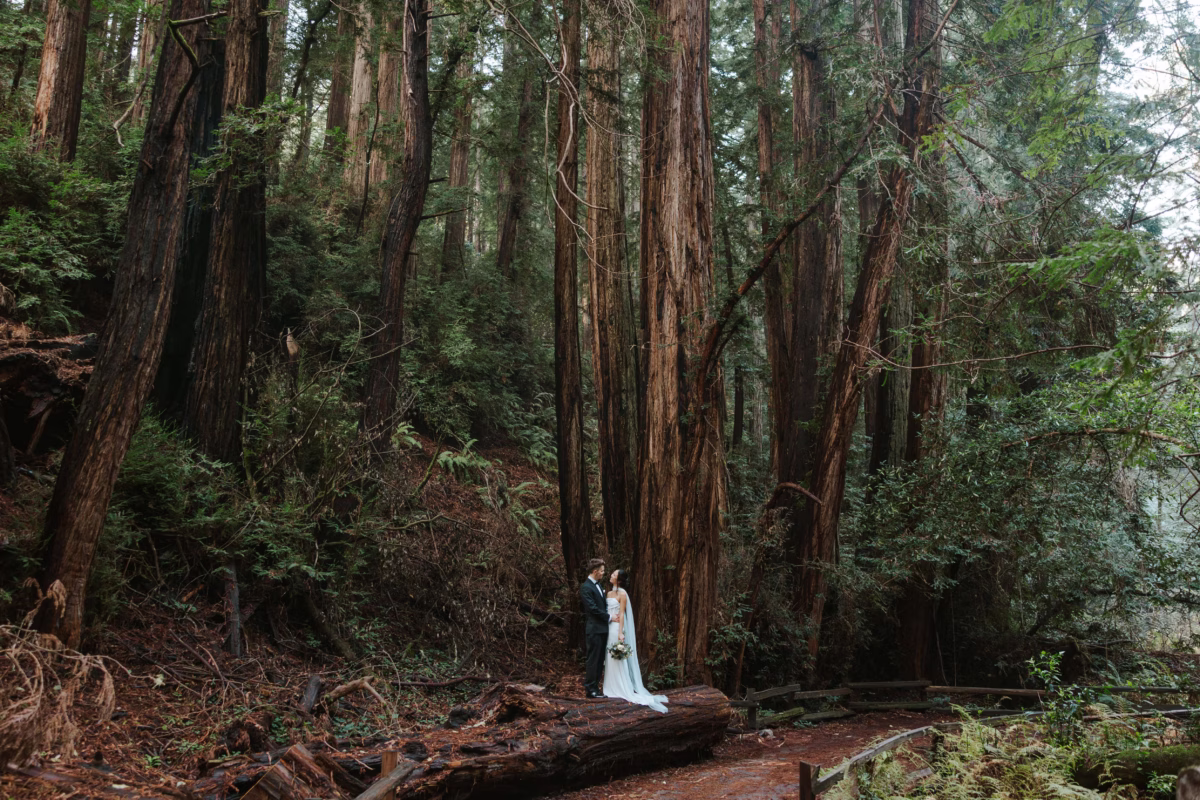 Brianna Parks Photography