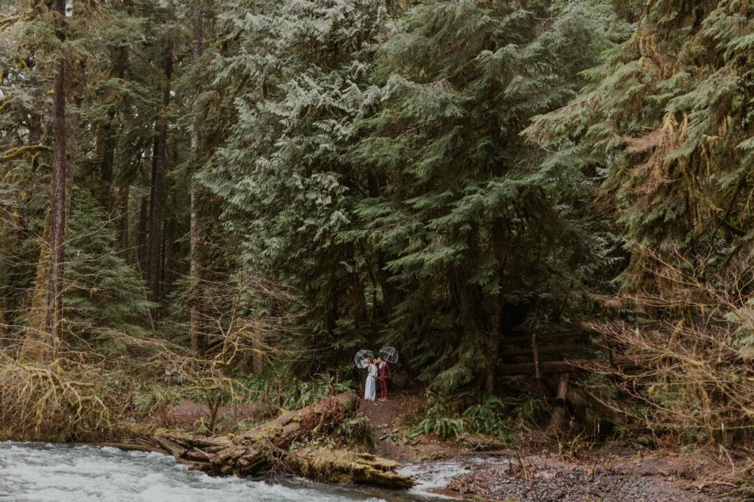 lake-crescent-elopement-blog-35
