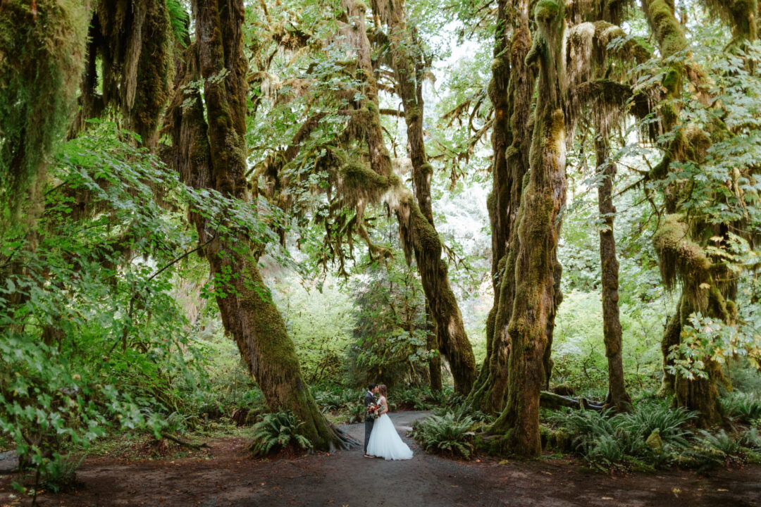 pnw-elopement-photographer-brianna-parks-photography-2024-26