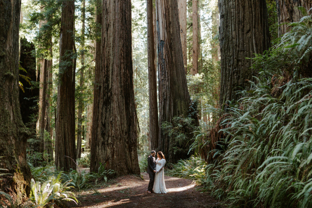 pnw-elopement-photographer-brianna-parks-photography-2024-5