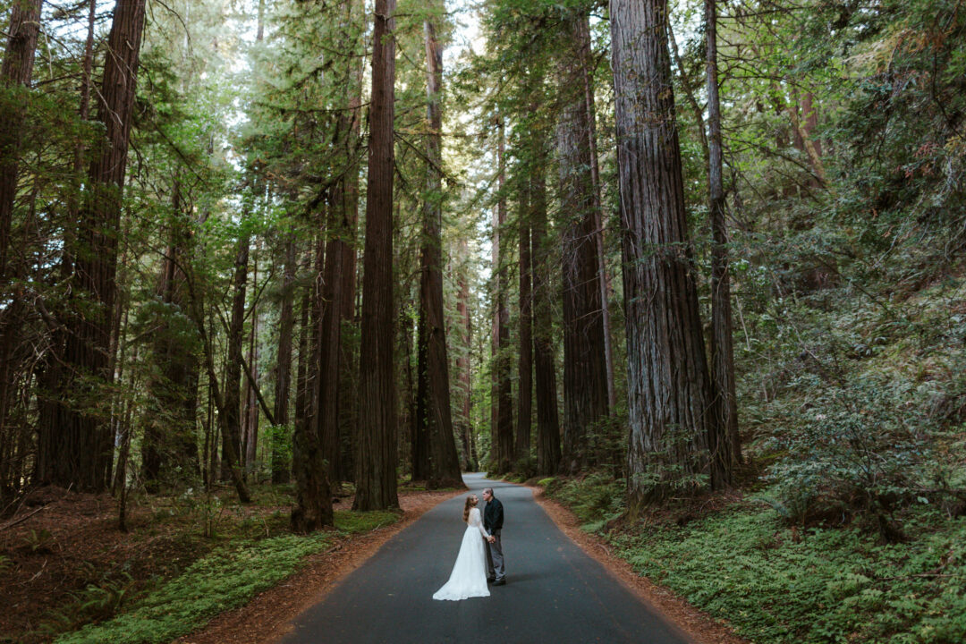 pnw-elopement-photographer-brianna-parks-photography-2024-6