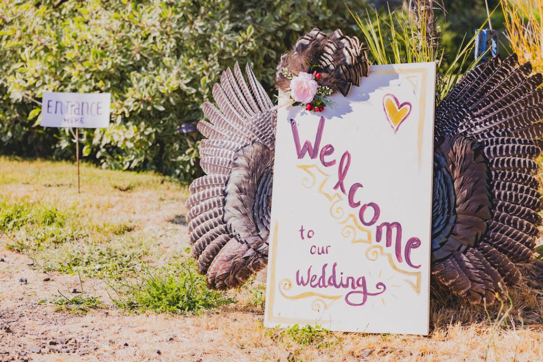backyard DIY farm wedding Reyn Photography Jake Reynolds18