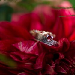 Queer Woodland Dungeons and Dragons Camping Trip Wedding on Offbeat Wed 11