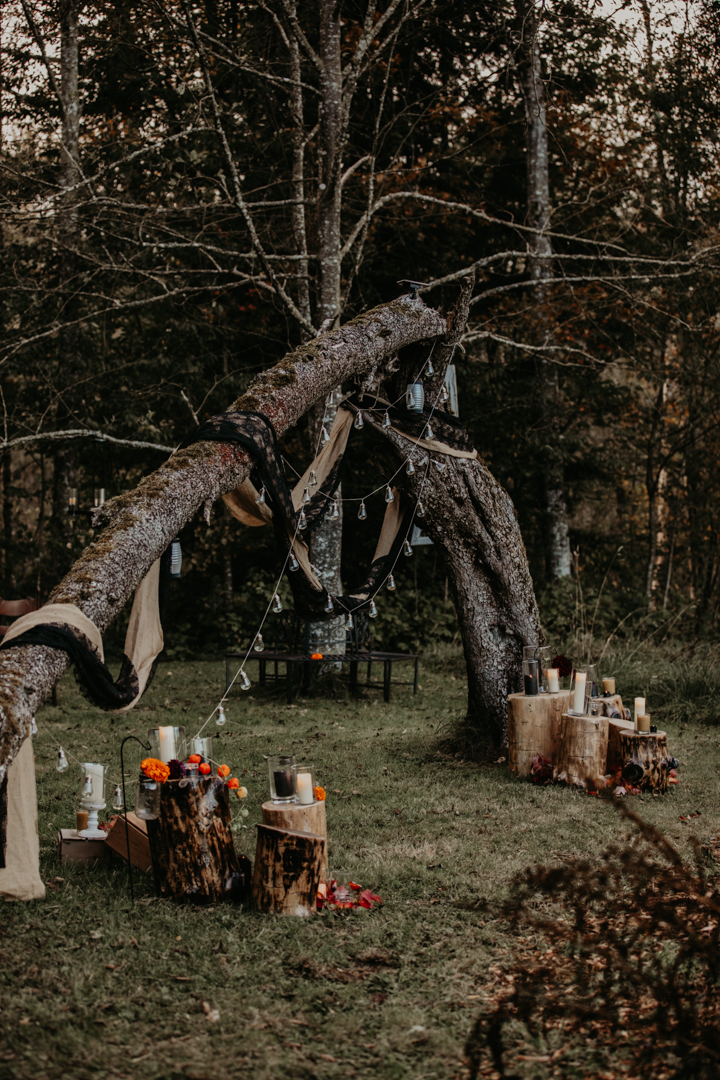 Queer halloween wedding inspiration 8