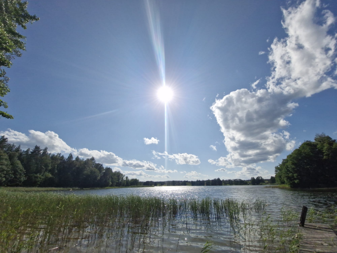 bread and salt wedding offbeat wed 11
