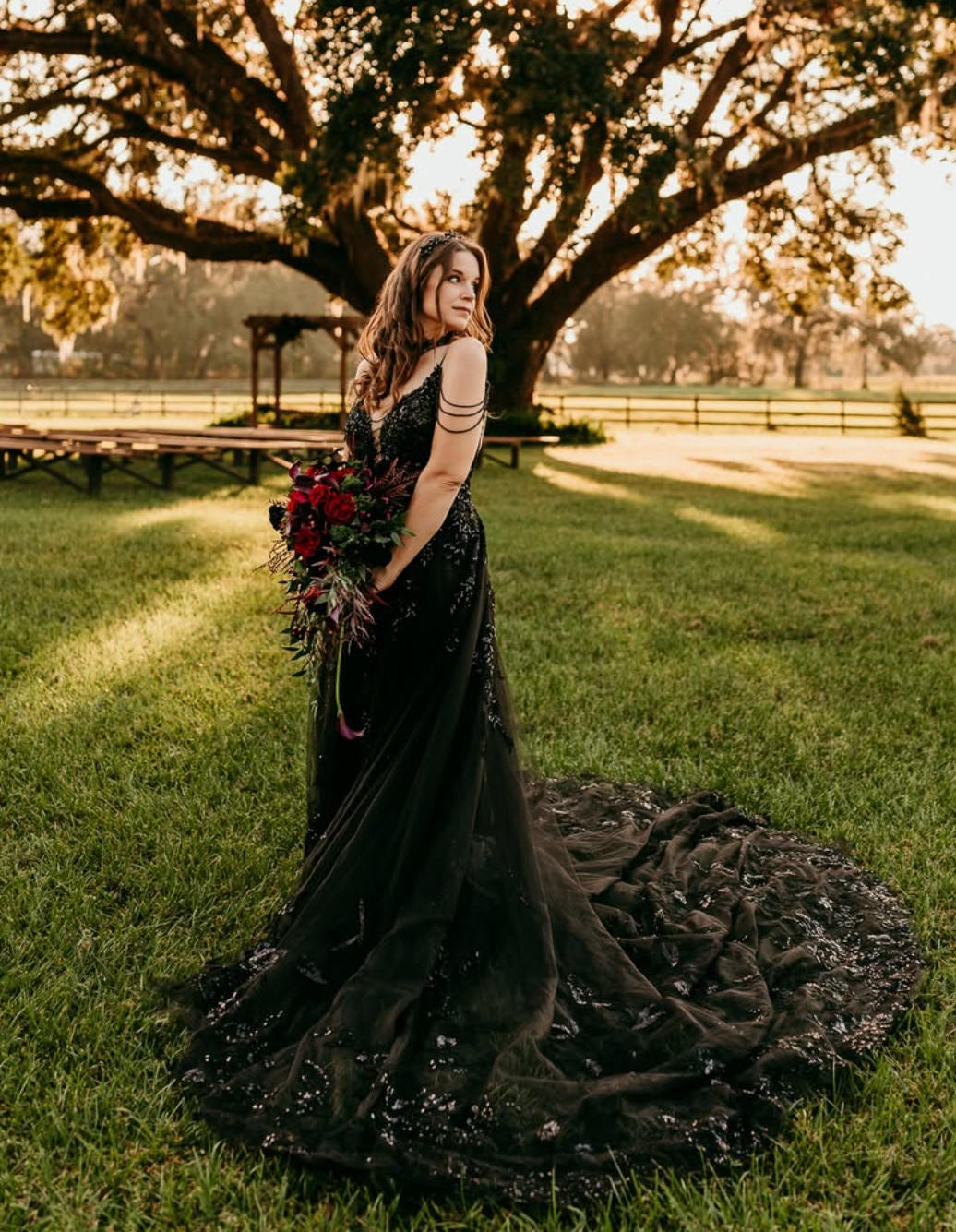 A-Line Cathedral Train Lace Tulle Black Wedding Dress