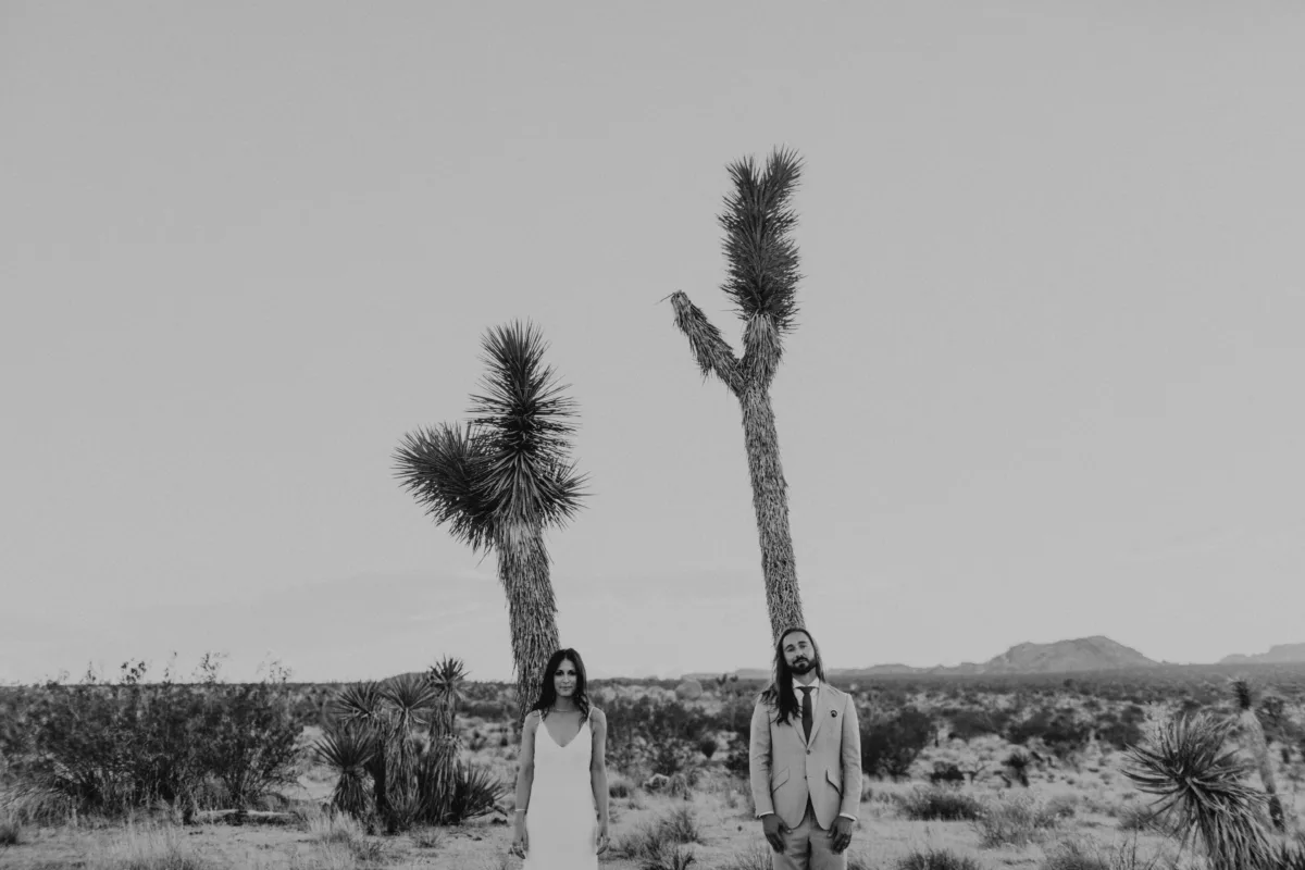 The Indi Collective | West