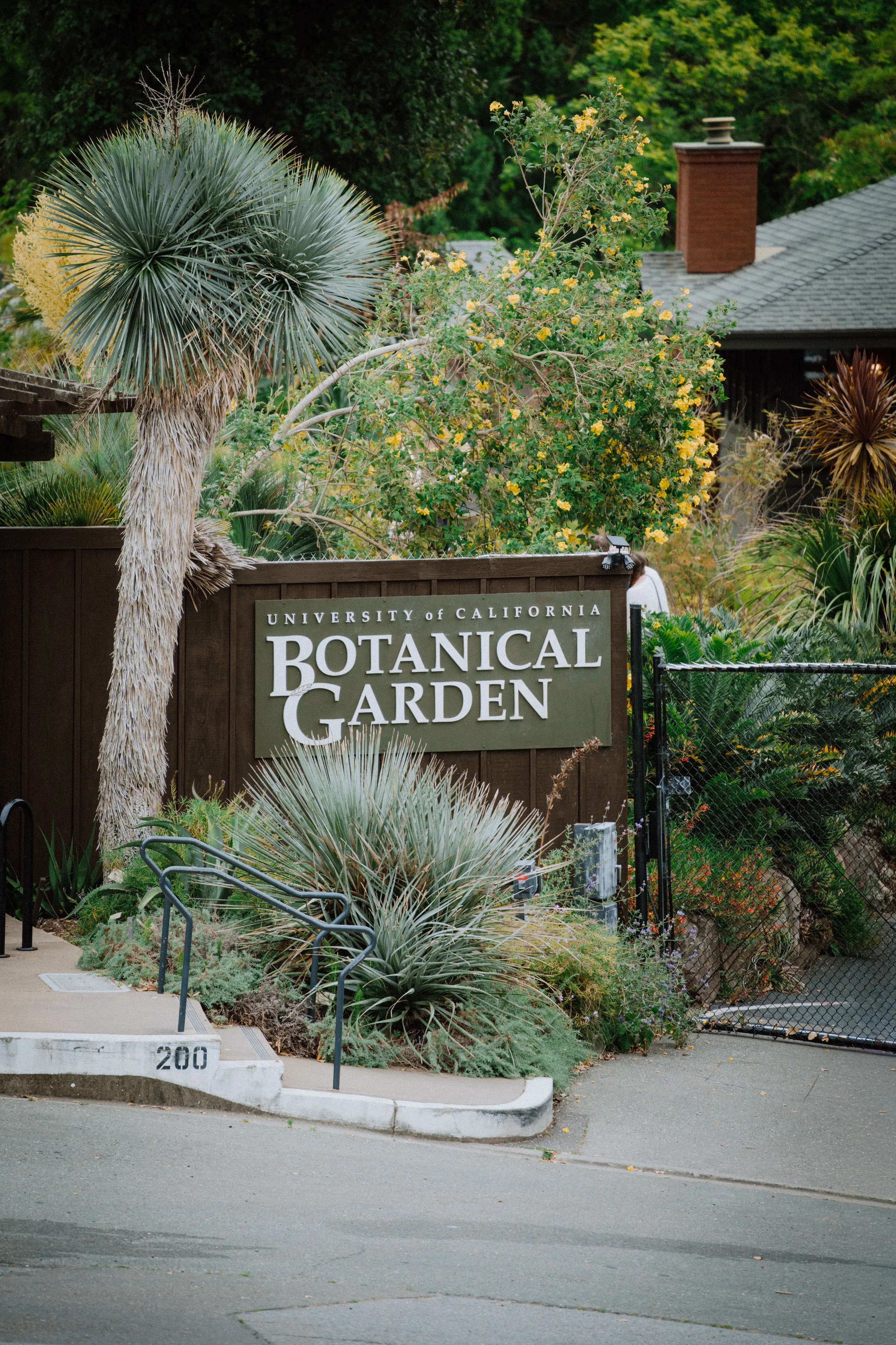 New Orleans meets Bay Area wedding on Offbeat Wed 23