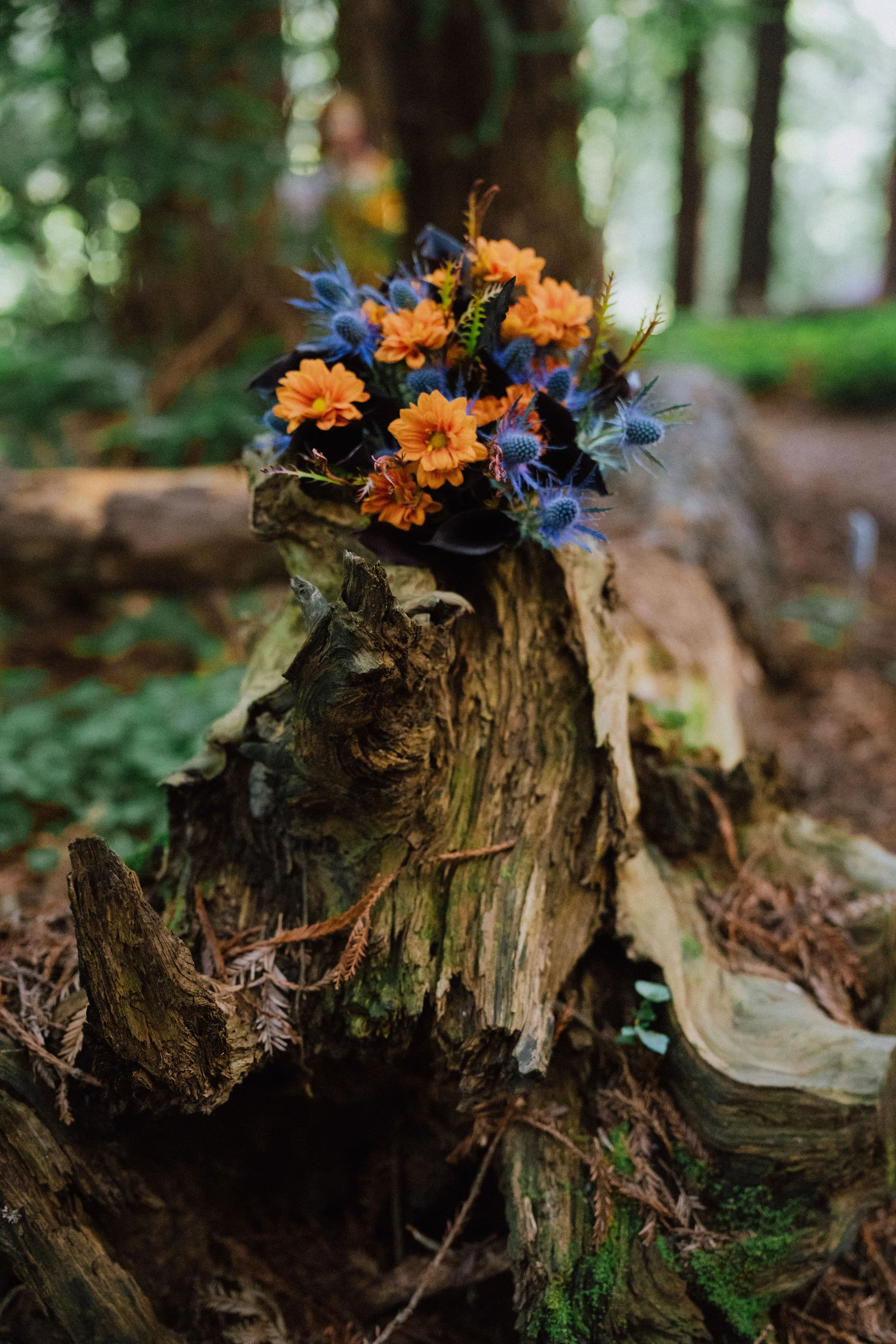 New Orleans meets Bay Area wedding on Offbeat Wed 46